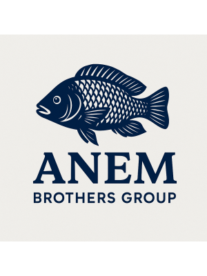 Patrick Gura, Anem Brothers Group Limited